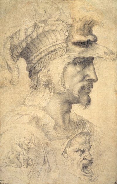 Ideaal hoofd van een krijger door Michelangelo Buonarroti